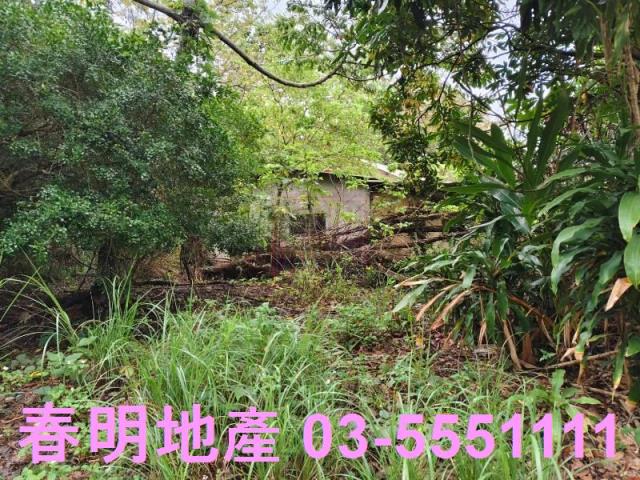 香山農地-12