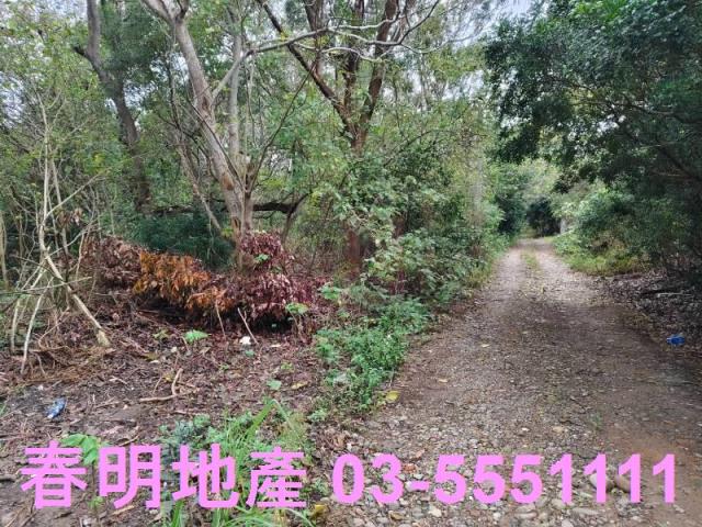 香山農地-13