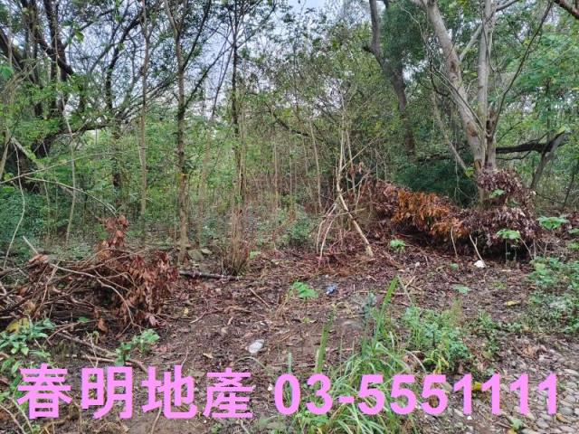 香山農地-14