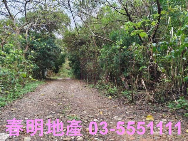 香山農地-15