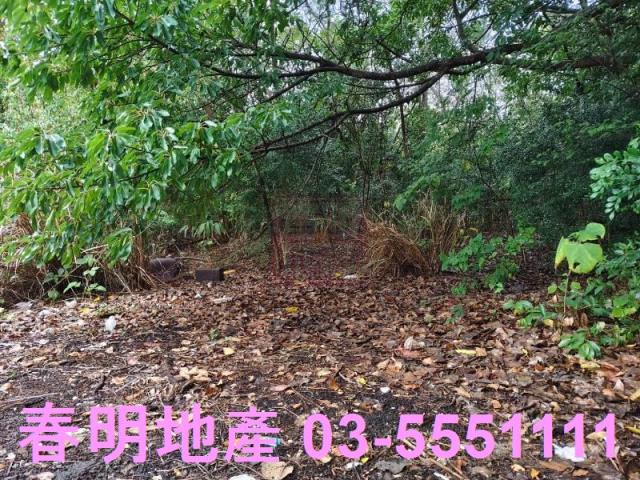 香山農地-2