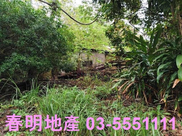 香山農地-3