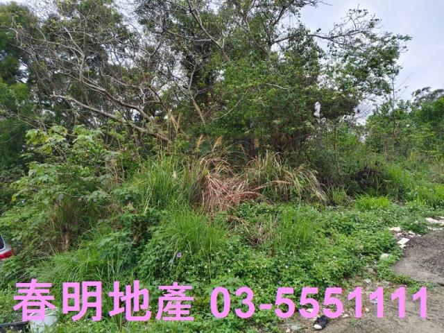 香山農地-4