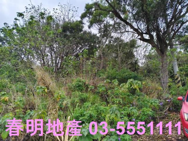 香山農地-5