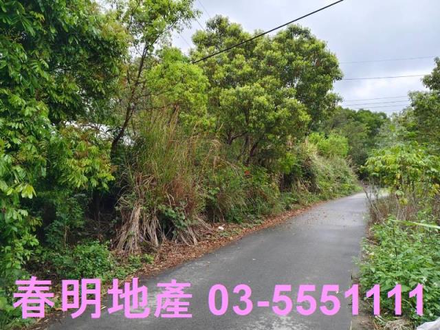 香山農地-6