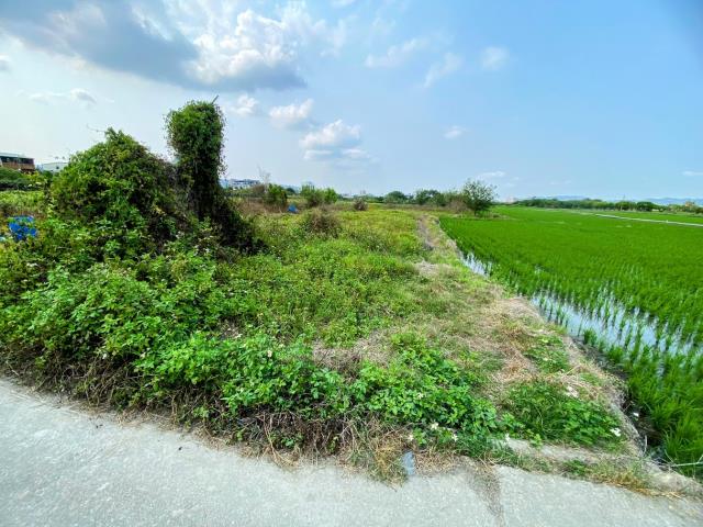 南投市農地-3