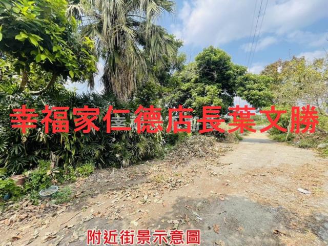 新化農地-15