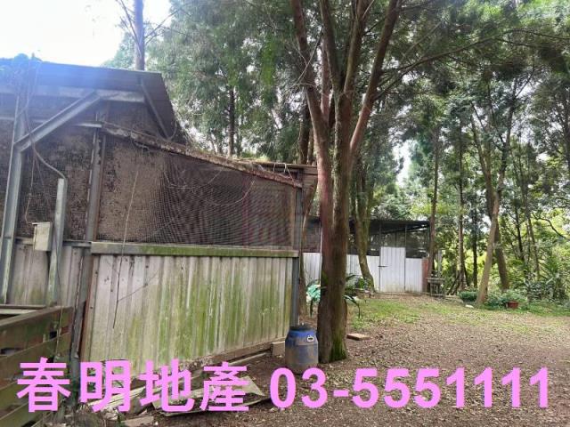 峨眉農地-12