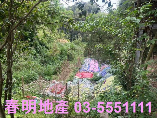 峨眉農地-1