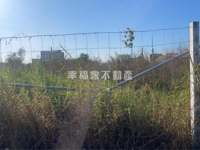 麻豆工業地-4