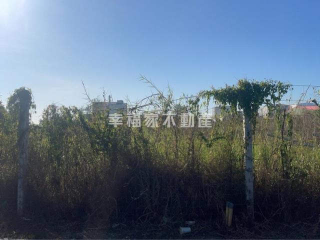 麻豆工業地-5