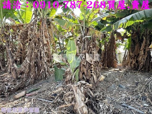 玉井工業地-4