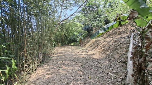 峨眉農地-14