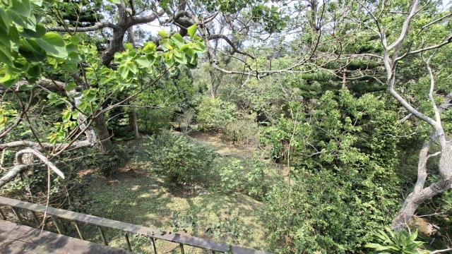 峨眉農地-5