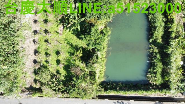 新竹農地-11