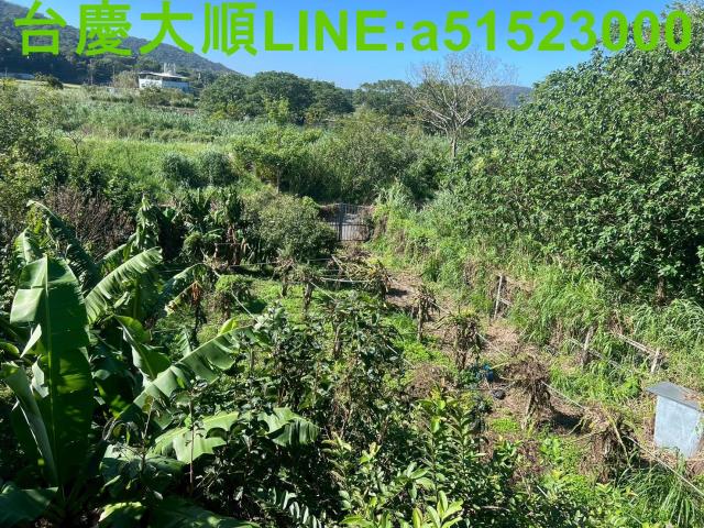 新竹農地-2