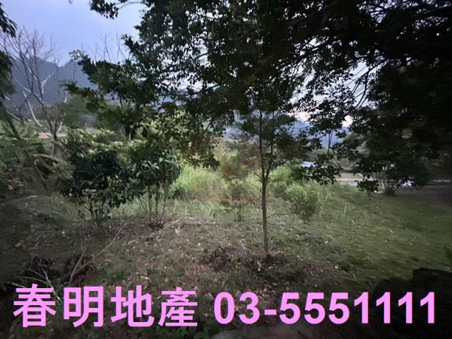 苗栗農地-6