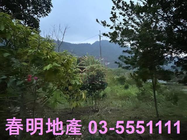 苗栗農地-8