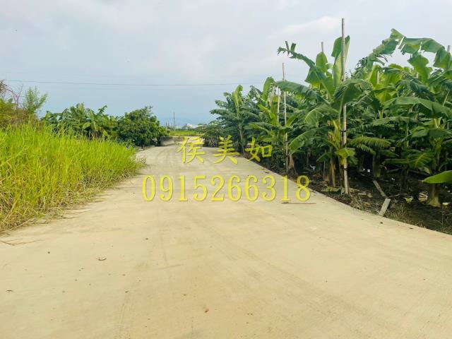 嘉義農地-5