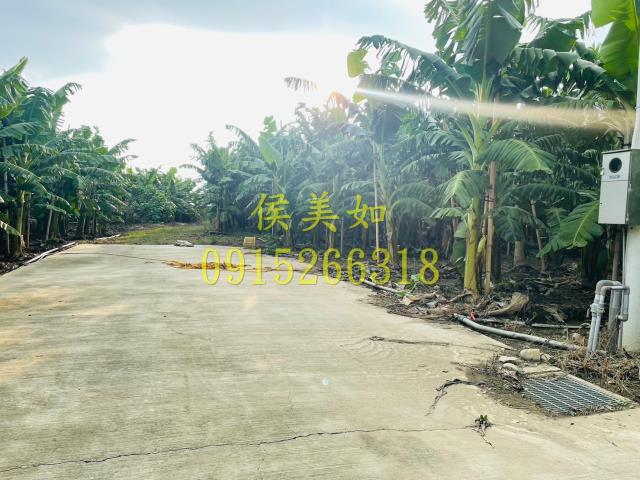嘉義農地-8