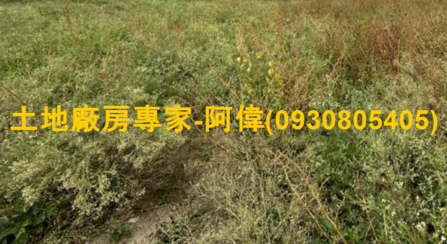 台南善化工業地-1