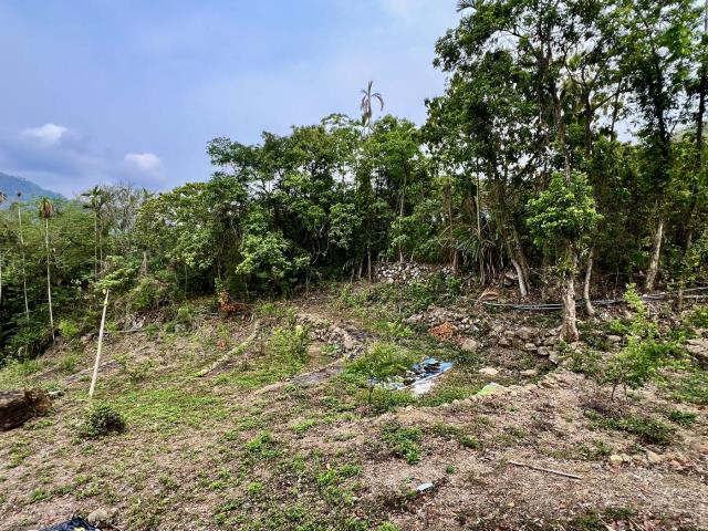 草屯農地-2