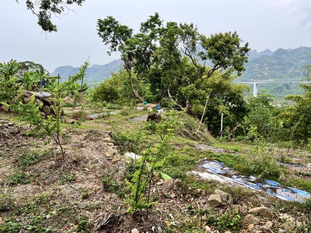 草屯農地-6