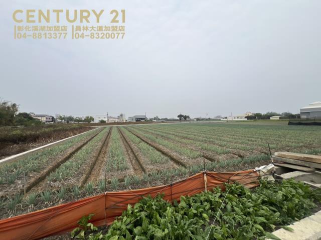 埔鹽農地-2