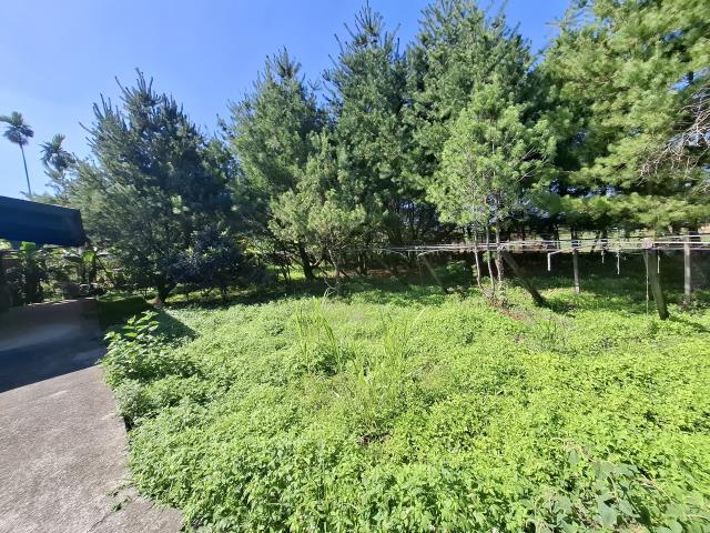 東勢農地-4