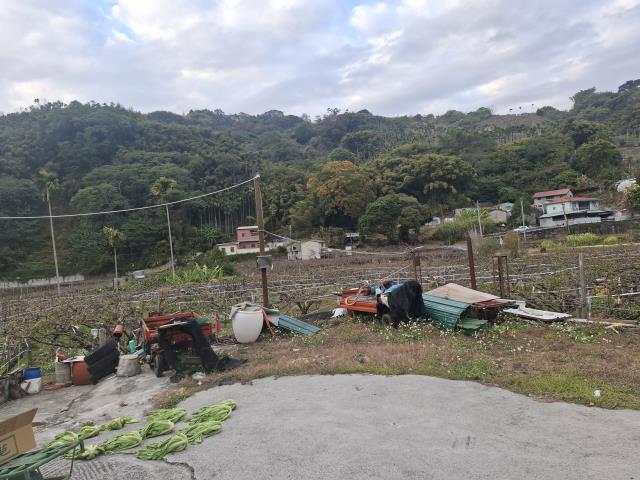 東勢農地-3
