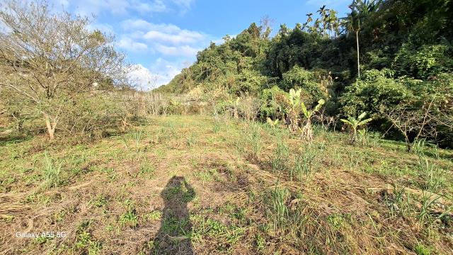 東勢農地-6