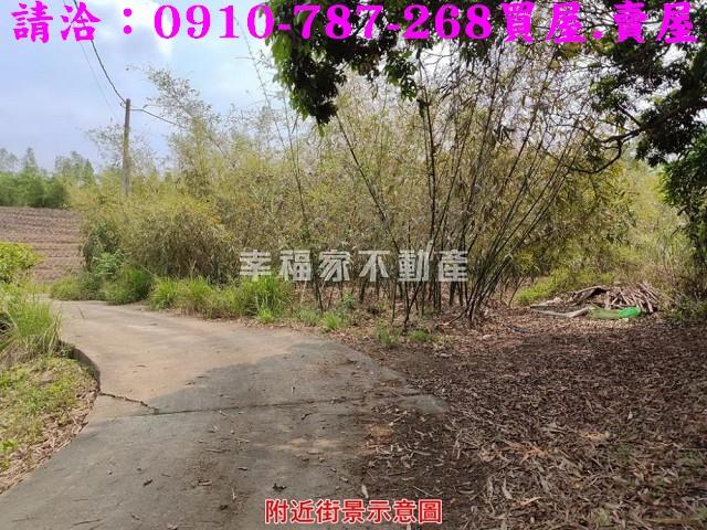 關廟農地-10