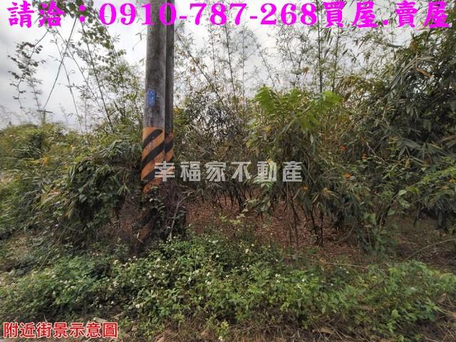 關廟農地-7