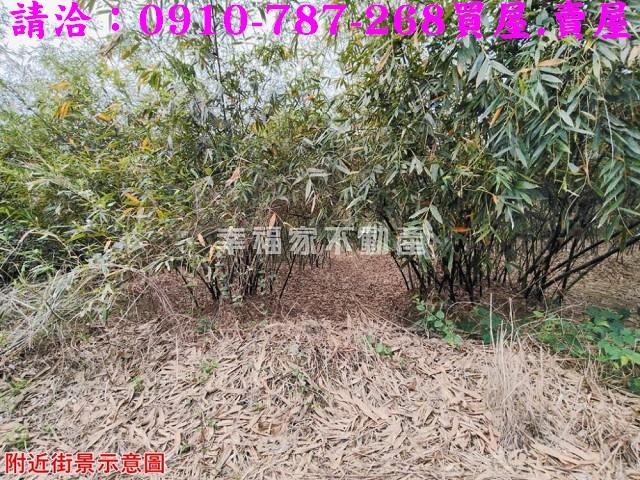 關廟農地-8