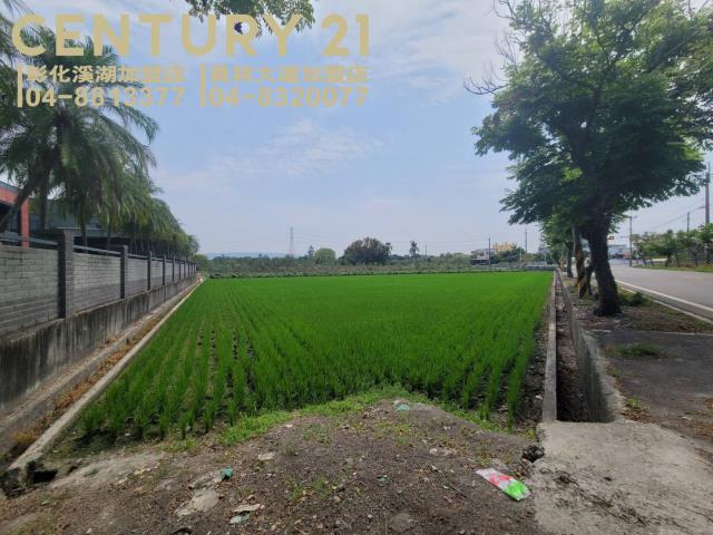 田中農地-2