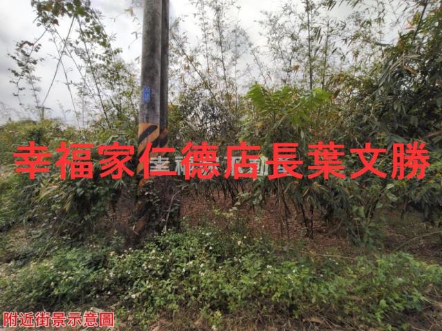 台南農地-9
