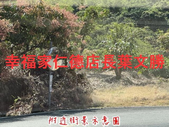 台南農地-10