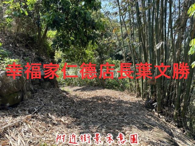 台南農地-12