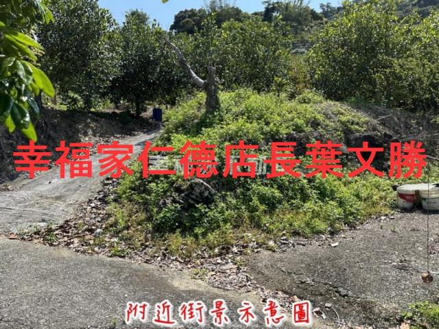 台南農地-6