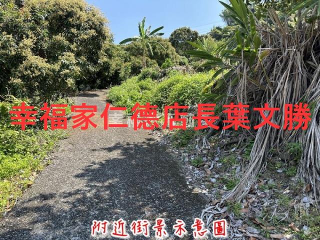 台南農地-7