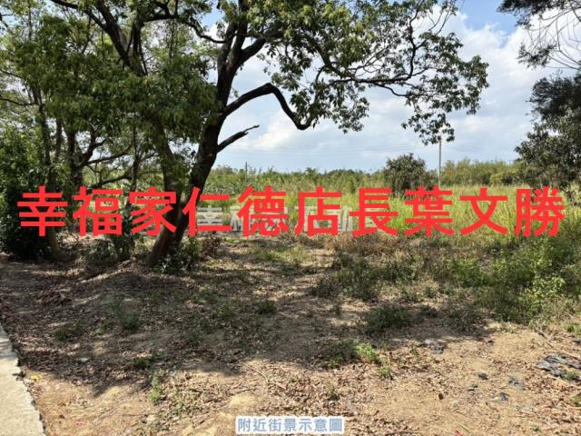 台南農地-13
