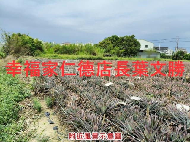 台南農地-10