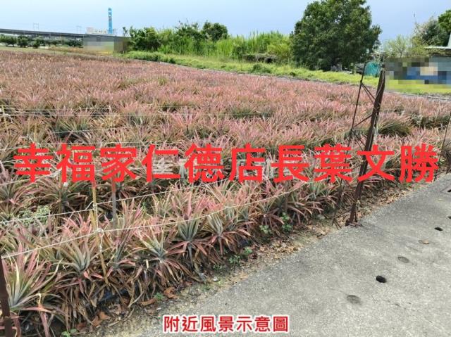 台南農地-11