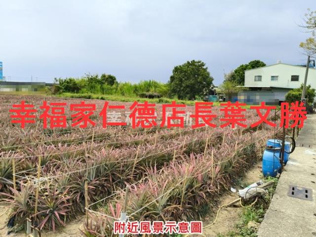 台南農地-13