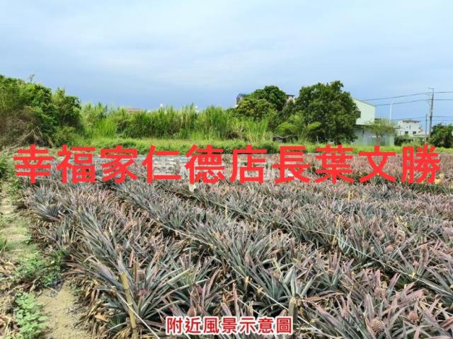 台南農地-14