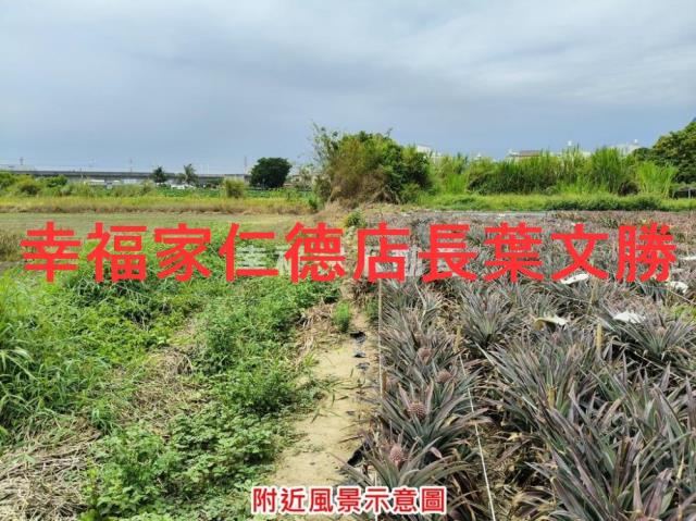 台南農地-1