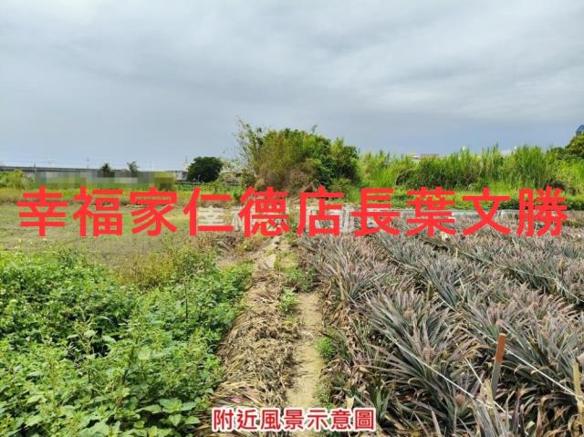 台南農地-2