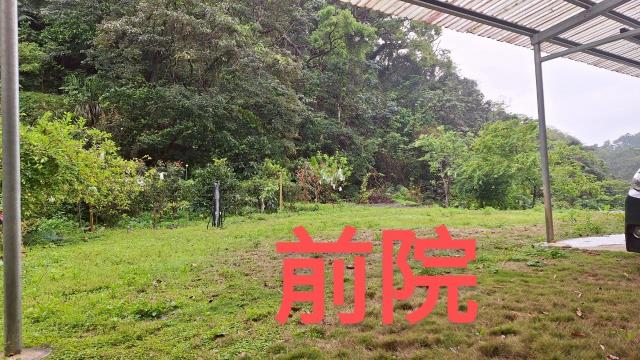 三灣農地-11