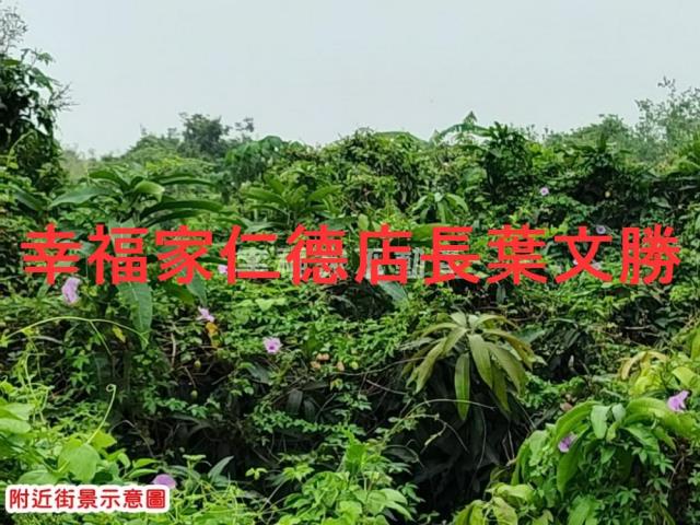 官田農地-14