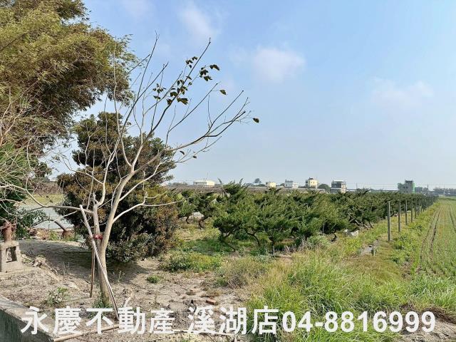 二林農地-10